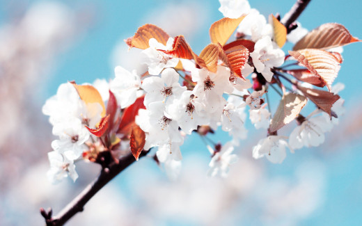489093 (a): :2560x1600